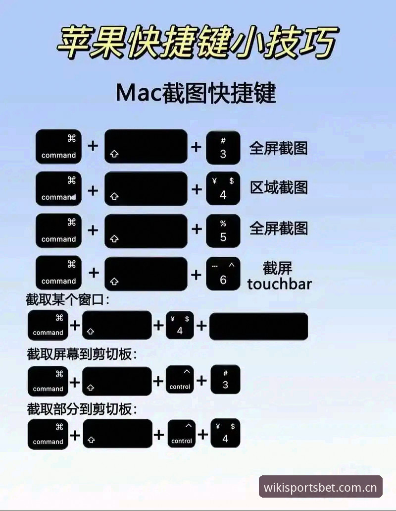 维基彩票平台新手使用教程：从入门到精通的完整操作指南